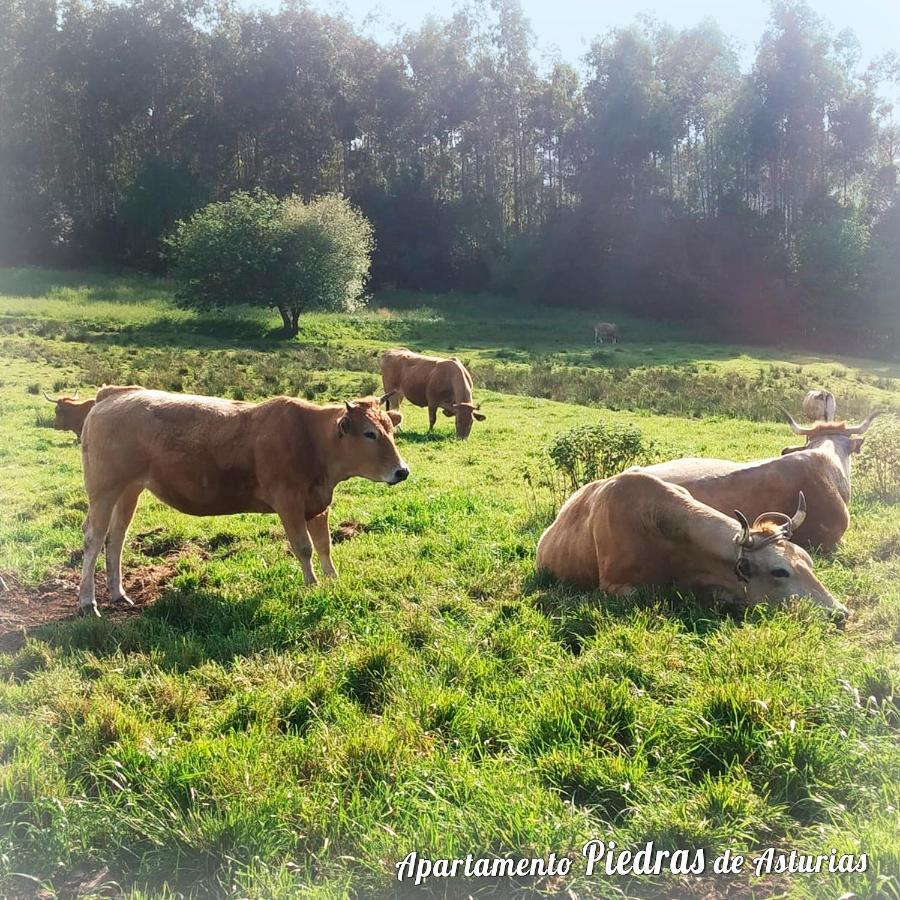 피에드라스 블랑카스 Piedras De Asturias 아파트 외부 사진